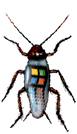 microsoft bug
